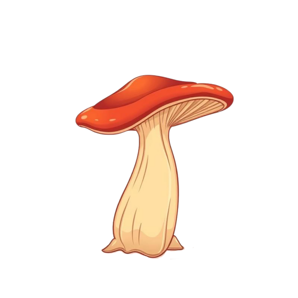 Reishi Mushroom